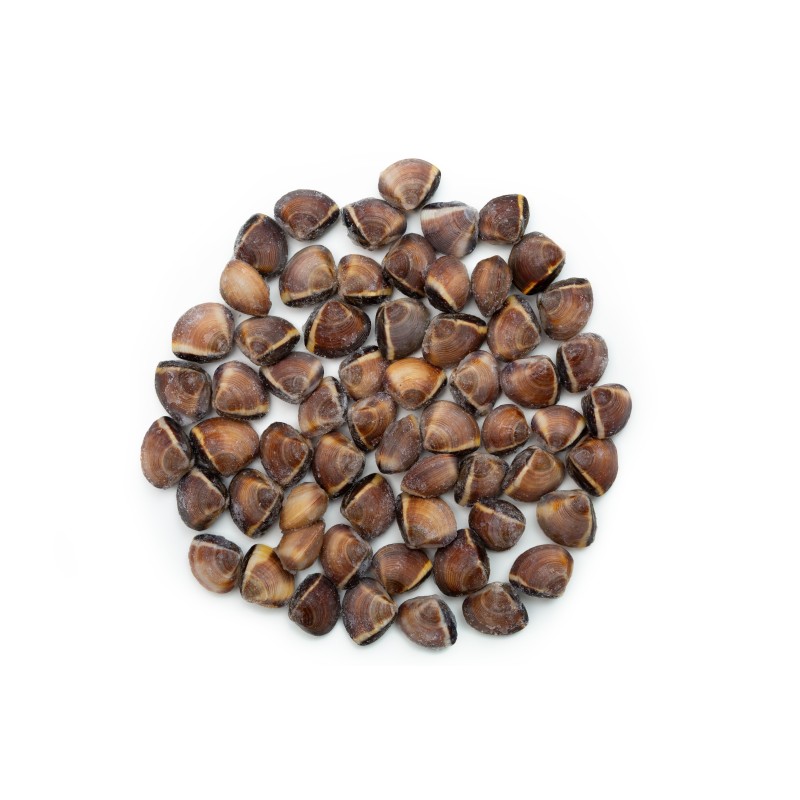 Almeja Marrón 60/80