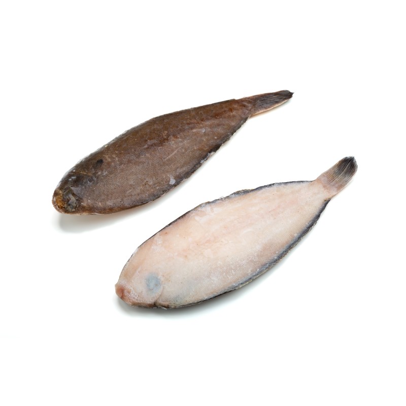 Lenguado Nacional Extra