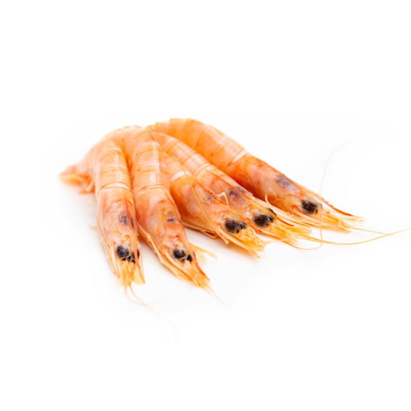 Gamba Blanca Especial