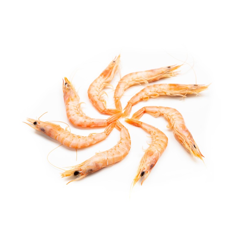 Gamba Blanca Especial