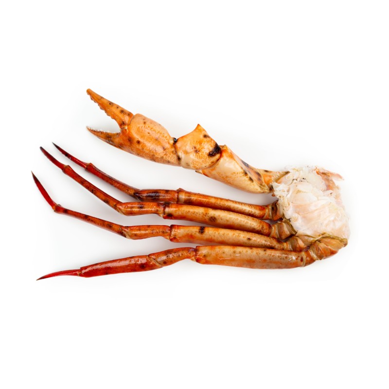 Boca Pecho de cangrejo Cocido XL