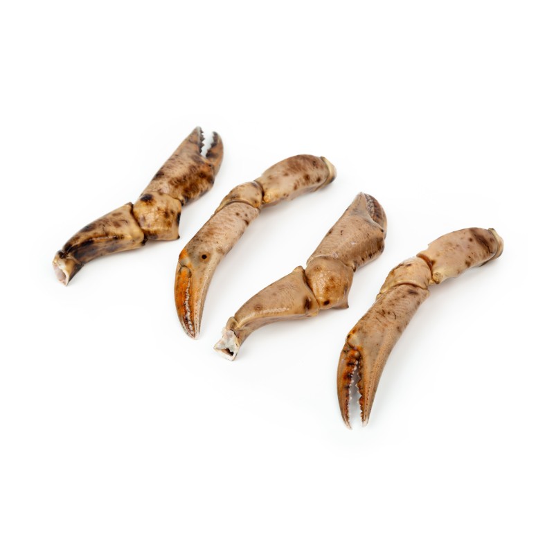 Boca de Cangrejo Cocida M