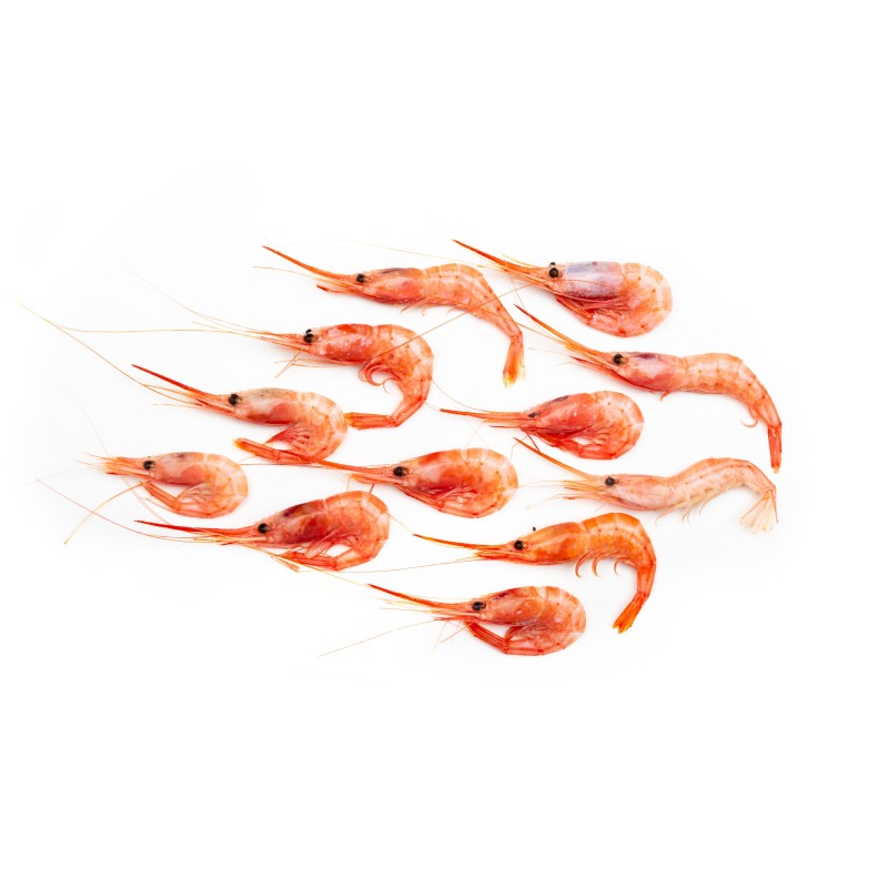 Quisquilla Cocida EXTRA