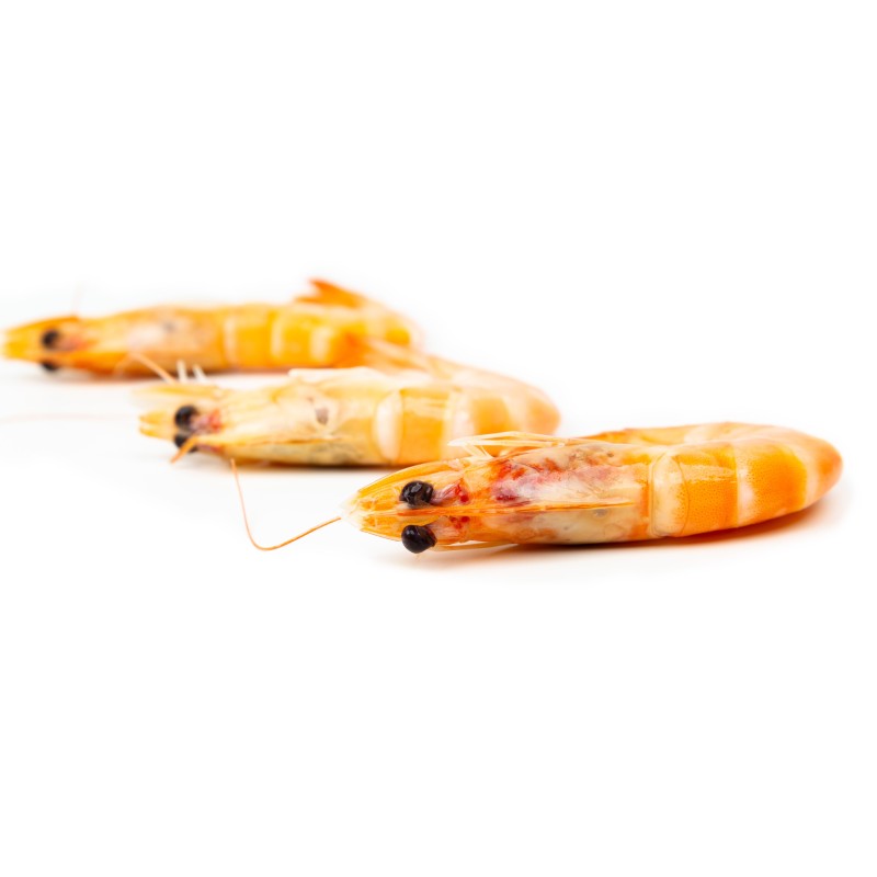 Langostino Cocido Mediano