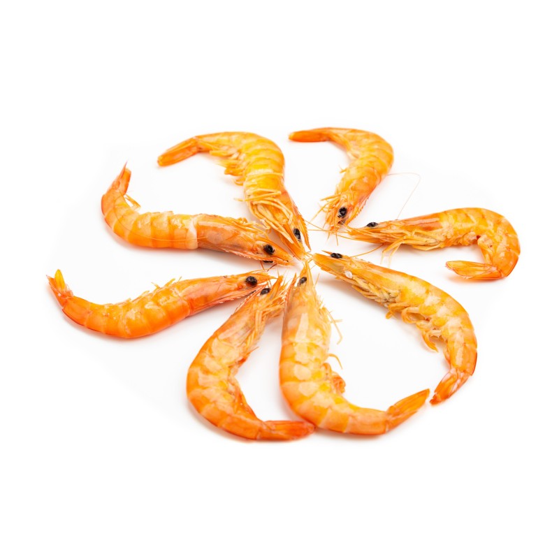 Langostino Cocido Mediano