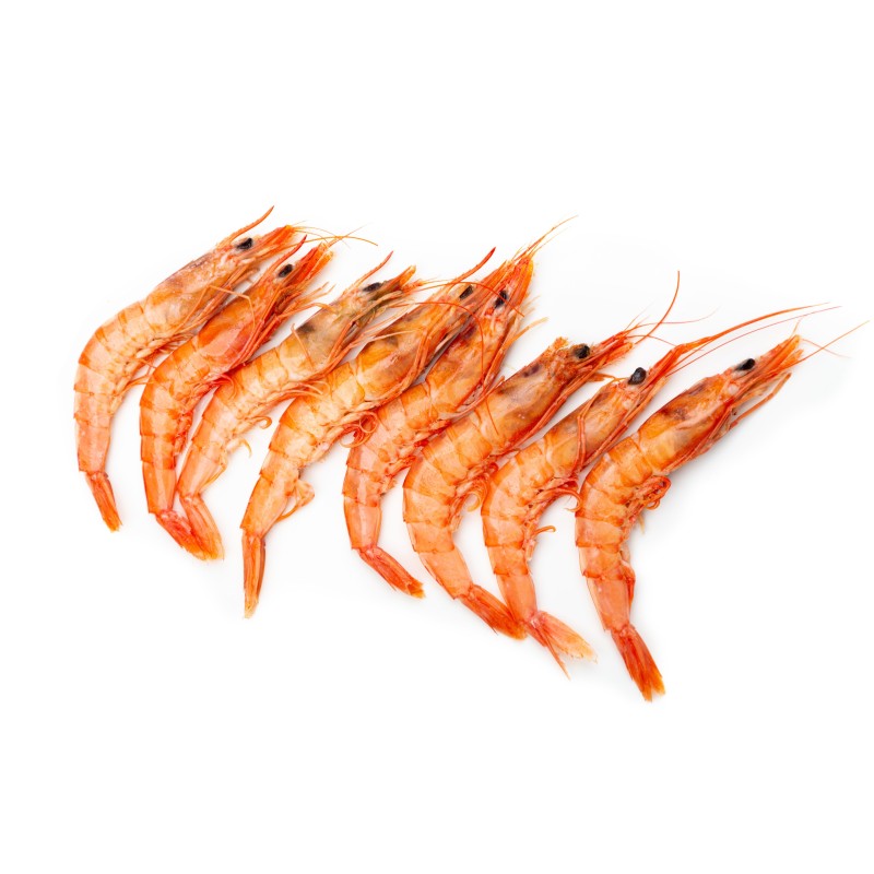 Gamba Cocida Mediana