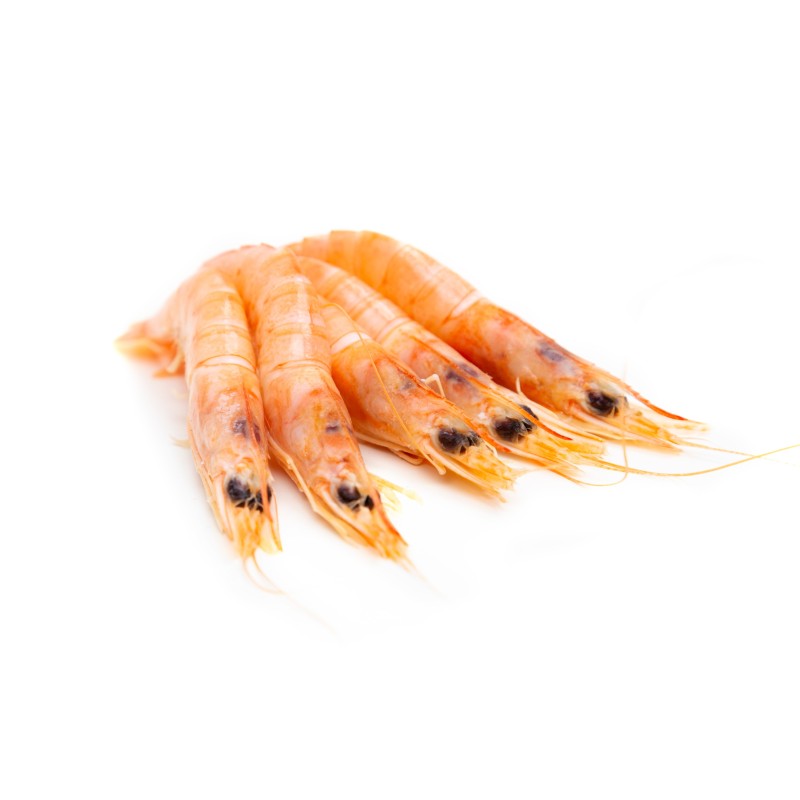 Gamba Blanca Cocida ESPECIAL