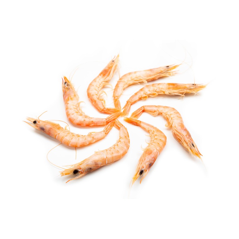 Gamba Blanca Cocida ESPECIAL