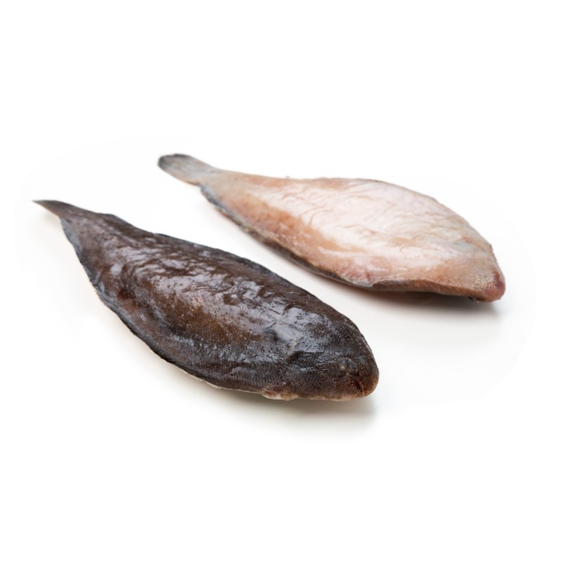 Lenguado Nacional Grande