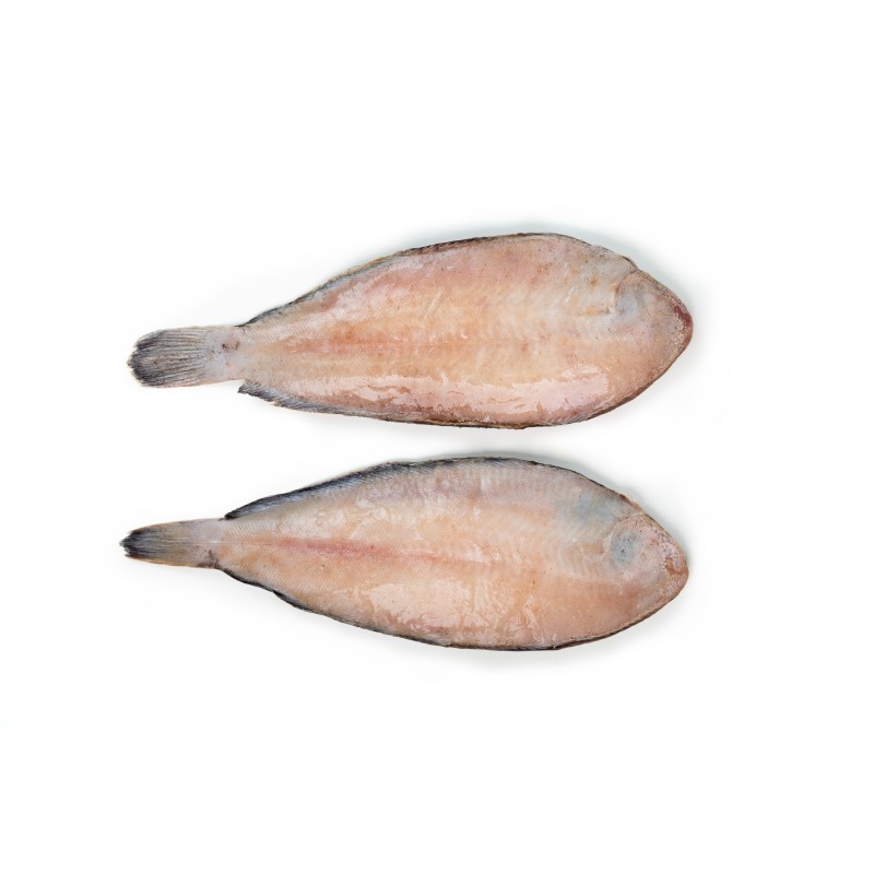 Lenguado Nacional Grande