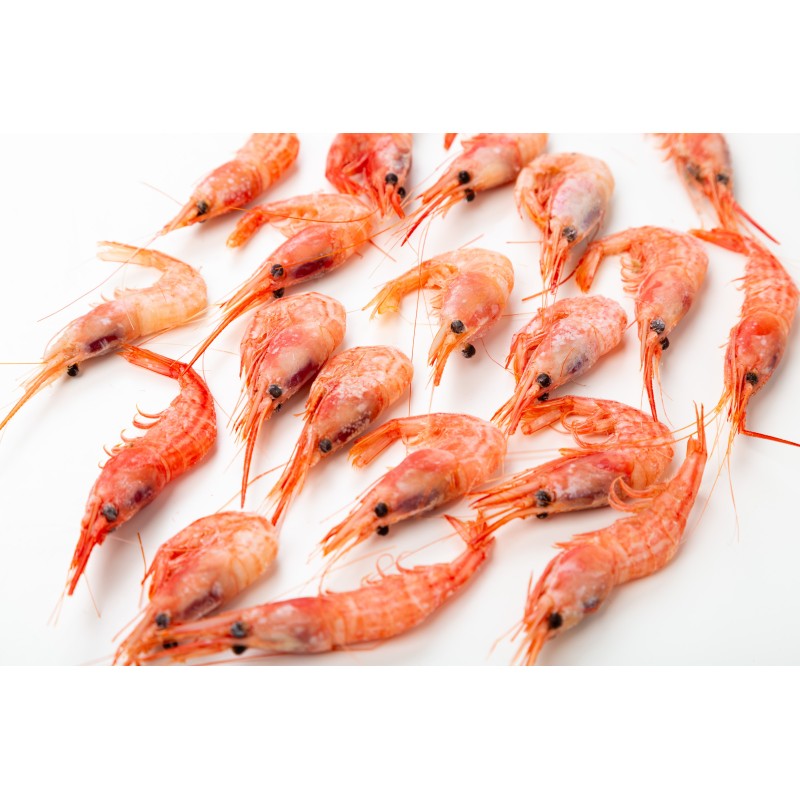 Quisquilla Cocida EXTRA