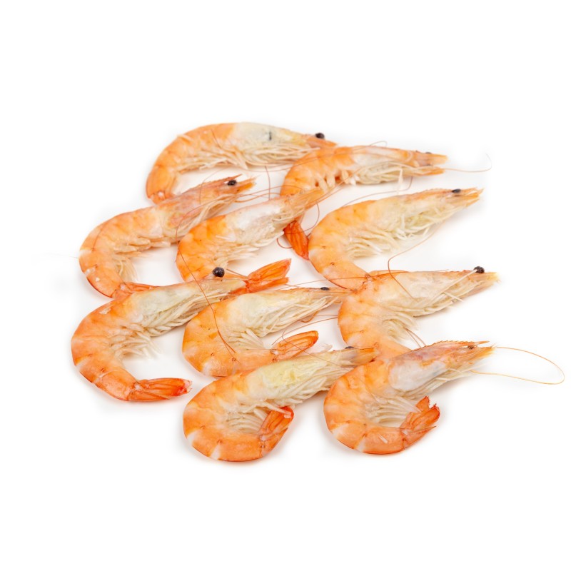 Langostino Cocido Grande