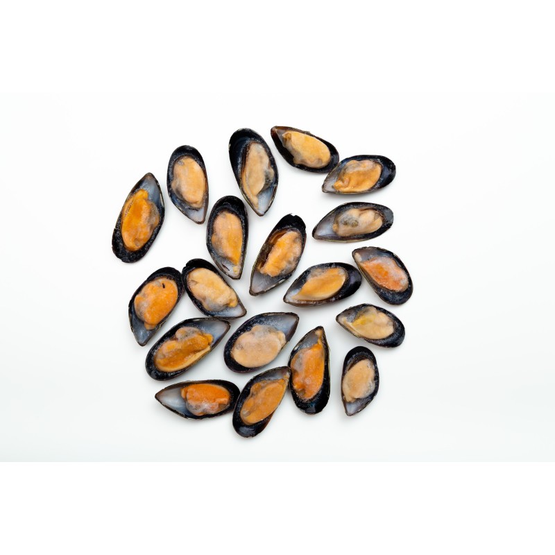 Mejillón media concha