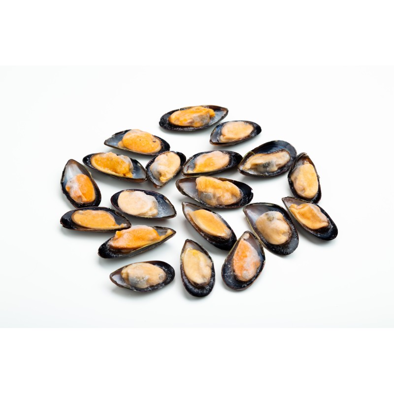 Mejillón media concha