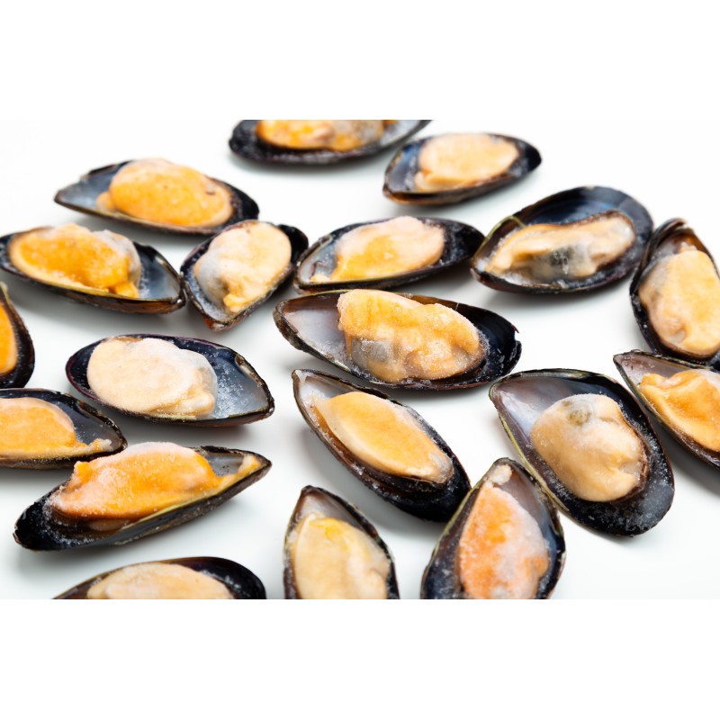 Mejillón media concha