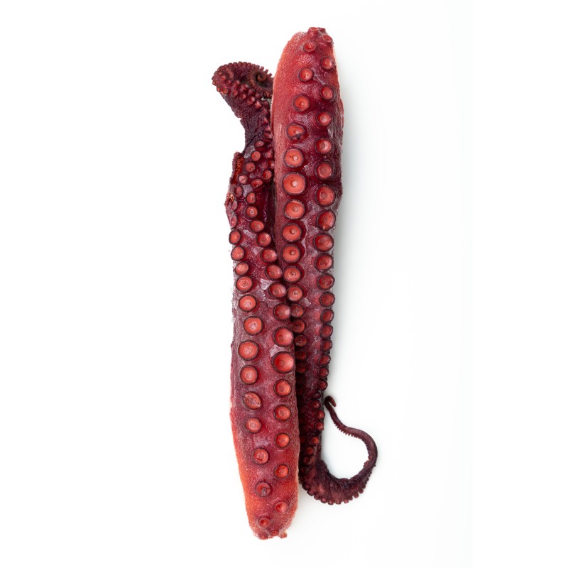 Pata Pulpo Cocida Super