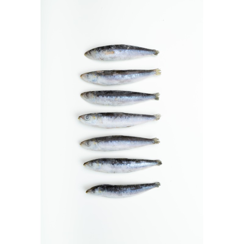 Sardina Entera Grande