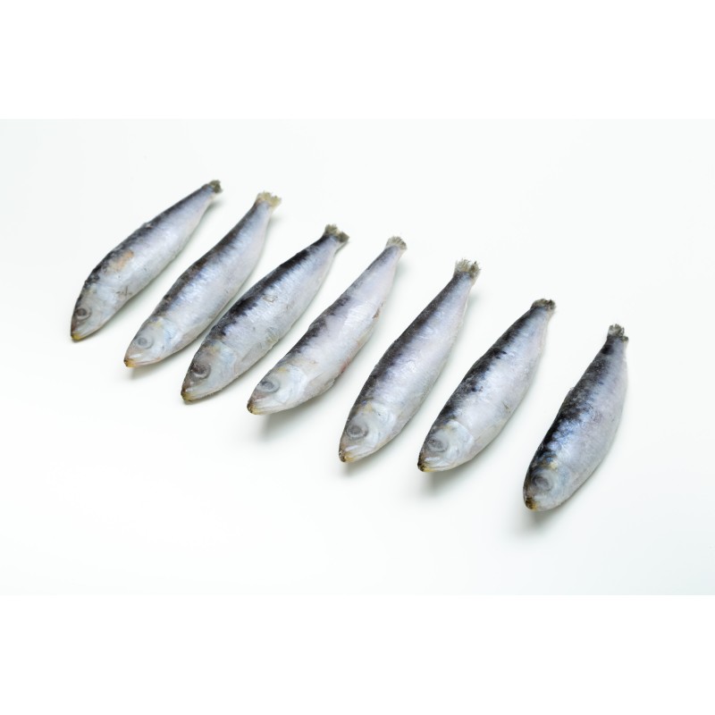 Sardina Entera Grande